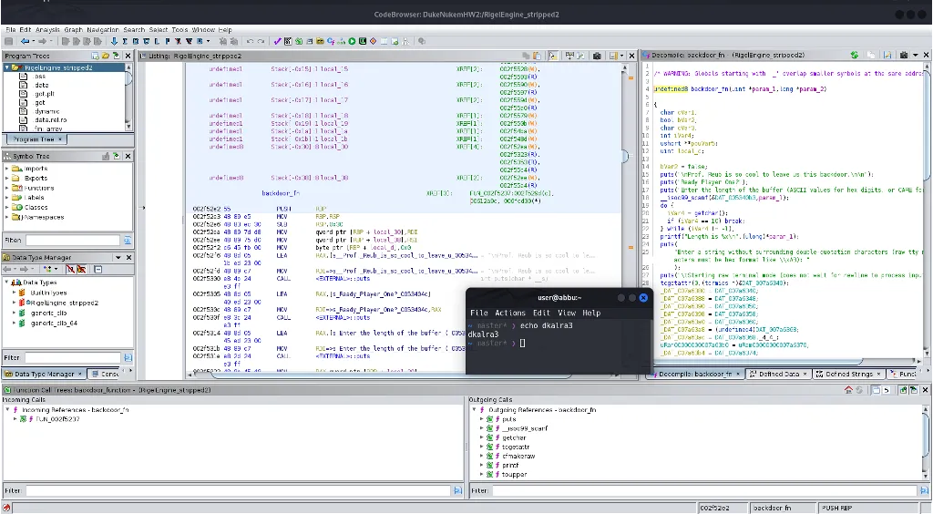 Ghidra showing backdoor and vulnerable function entry points