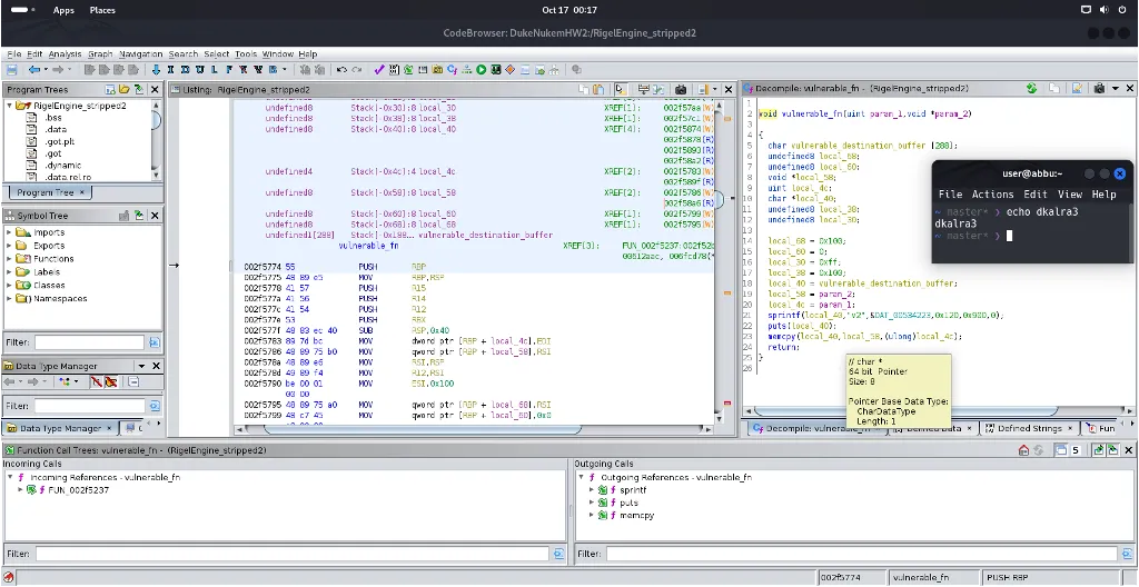 Ghidra showing backdoor and vulnerable function entry points
